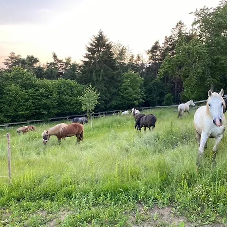 Suedliches Waldviertel Am Pferdehof شقة *