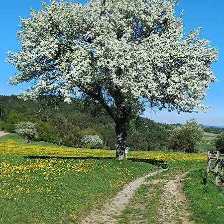 Suedliches Waldviertel Am Pferdehof *