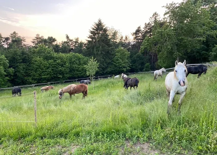 Suedliches Waldviertel Am Pferdehof شقة *