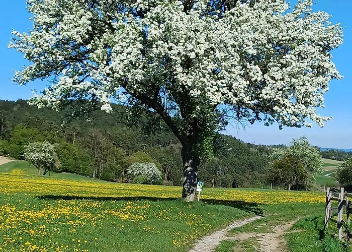 Suedliches Waldviertel Am Pferdehof *